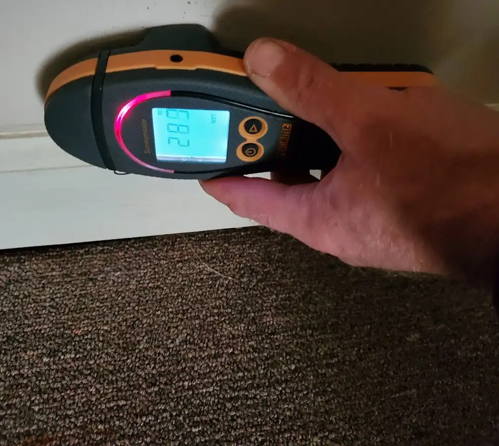 Moisture detection at baseboard during Sewage Cleanup & Sanitation in Oak Park